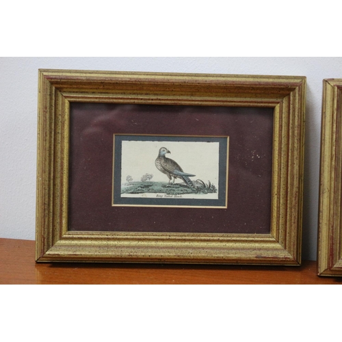 85 - 3 Antique Bird Prints Framed and Glazed 19CM X 14 CM