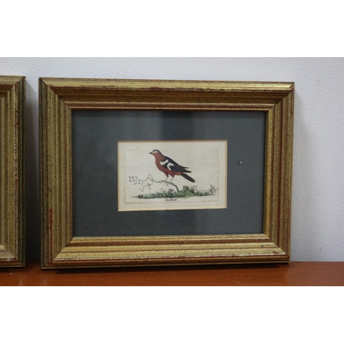 85 - 3 Antique Bird Prints Framed and Glazed 19CM X 14 CM