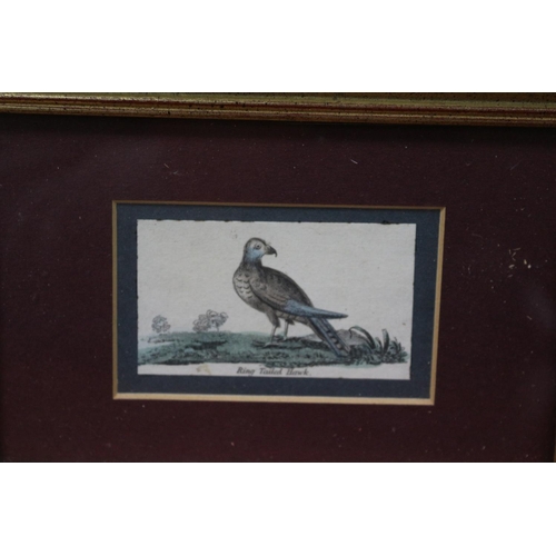 85 - 3 Antique Bird Prints Framed and Glazed 19CM X 14 CM