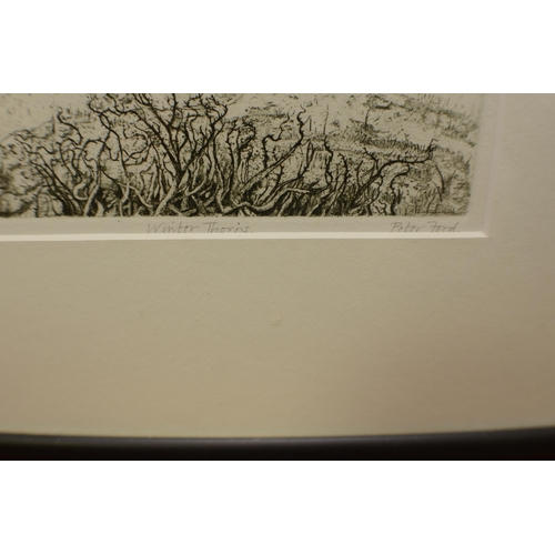 409 - Limited Edition Screen Print by Peter Ford 5/100 titled Winter Thorns 31x29