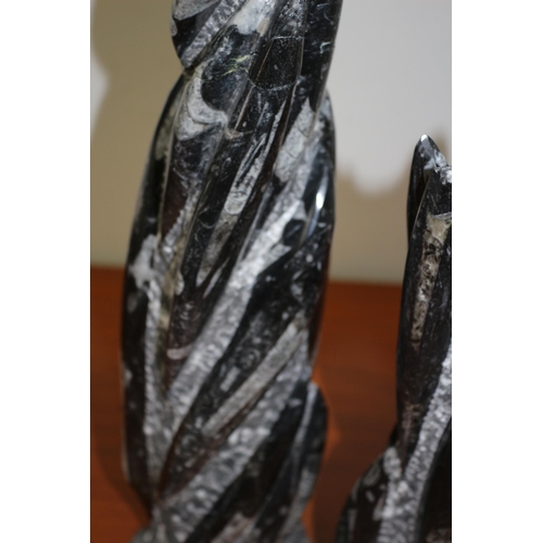 367 - Goniatite & Orthocone Fossils Devonian Age Limestone 400 Million Years old x 2 the largest 54cm