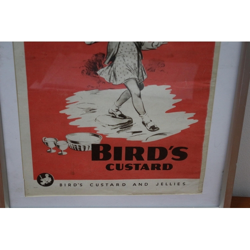 25 - Original Bird's Custard Advert Print by Royds - 41.5 x 31.5cm