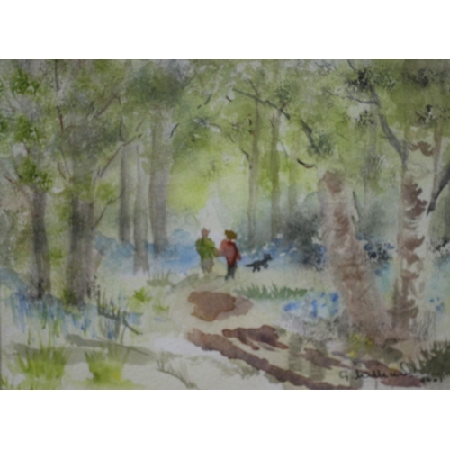 501 - Watercolour of a Woodland Walk with a Dog - Signed - 29 x 24cm