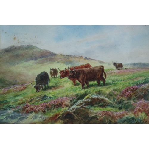 500 - Watercolour Painting of Cows in a Heather Field, Aged, by F.H. Hayes? - 42 x 32cm