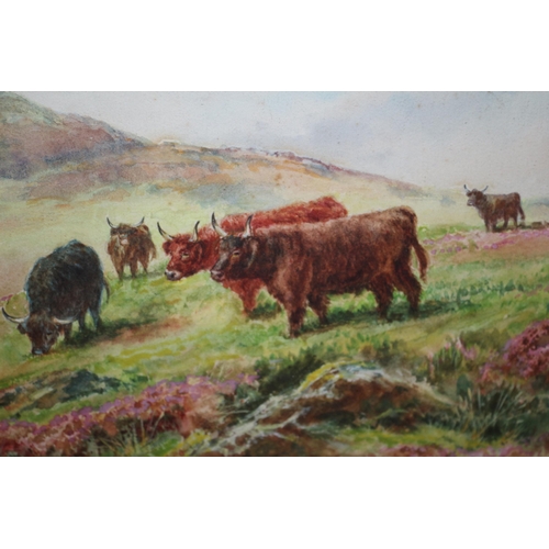 500 - Watercolour Painting of Cows in a Heather Field, Aged, by F.H. Hayes? - 42 x 32cm