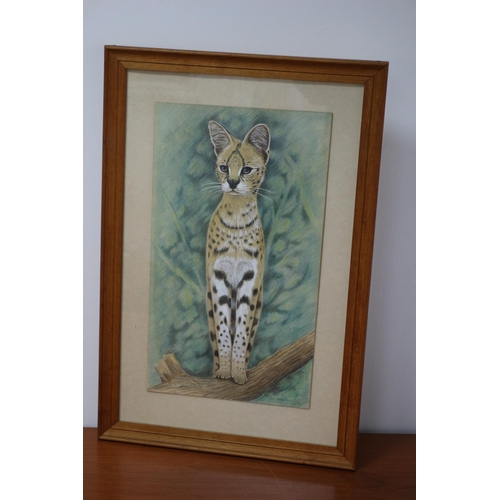 64 - Original Watercolour & Mixed Media Painting of Wild Cat - Superb Detail - Framed & Glazed - Signed W... 