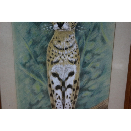 64 - Original Watercolour & Mixed Media Painting of Wild Cat - Superb Detail - Framed & Glazed - Signed W... 