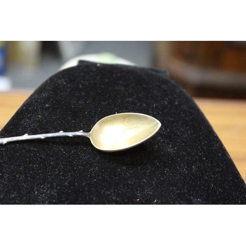 465 - 1900's White Metal (Possibly Silver but not Tested), Spoon from Ypres, France, with Gilded Bowl Head... 