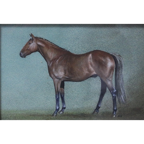 291 - Beautiful Watercolour Original Painting Study of a Horse Signed PAS. Framed and Glazed - 41 x 32cm