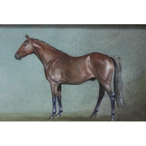 291 - Beautiful Watercolour Original Painting Study of a Horse Signed PAS. Framed and Glazed - 41 x 32cm