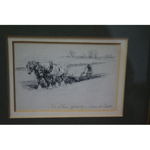 292 - 3 x Prints of Working Shire Horses of a Bygone Era - Framed and Glazed