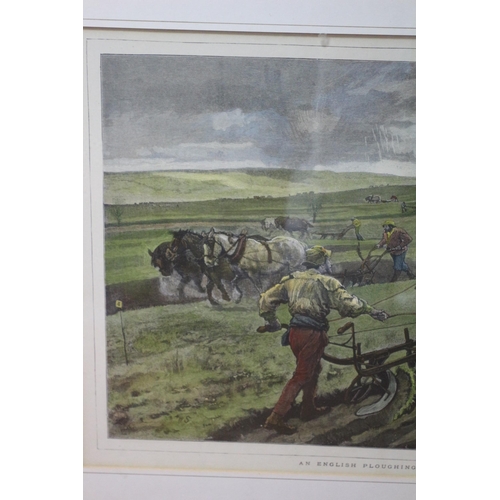 352 - Antique Hand Coloured Etching - An English Ploughing Match - 67 x 55cm - (On Offer Courtesy of a Lad... 