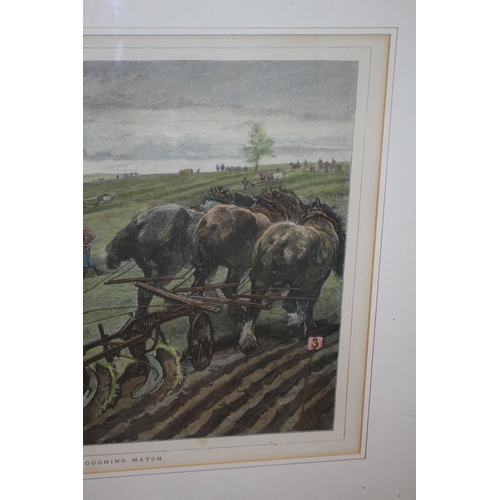 352 - Antique Hand Coloured Etching - An English Ploughing Match - 67 x 55cm - (On Offer Courtesy of a Lad... 