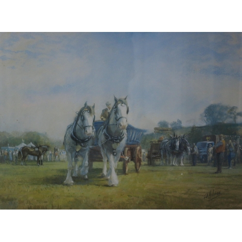 353 - Framed and Glazed Print of a Shire Horse by W. Holmes - 67 x 54cm (On Offer Courtesy of a Lady)