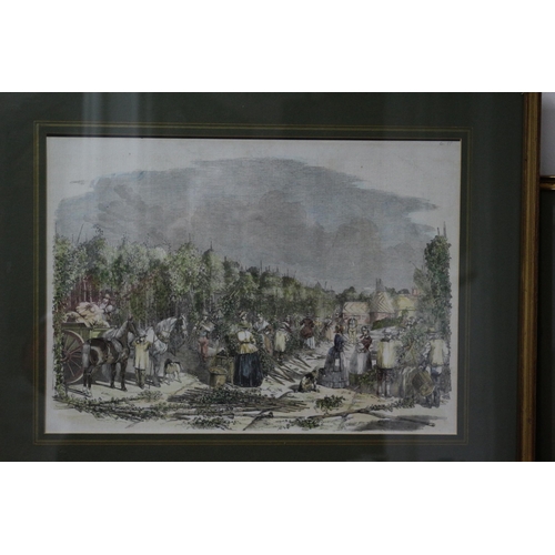 354 - Really Nice Set of 3 Quality Hand Coloured Etchings of Hop Pickers - Framed and Glazed - Largest 50 ... 