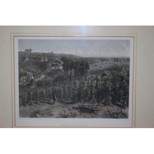 359 - Framed and Glazed Antique Hand Coloured Etching - Kentish Hop Gardens - 41 x 35cm - (On Offer Courte... 