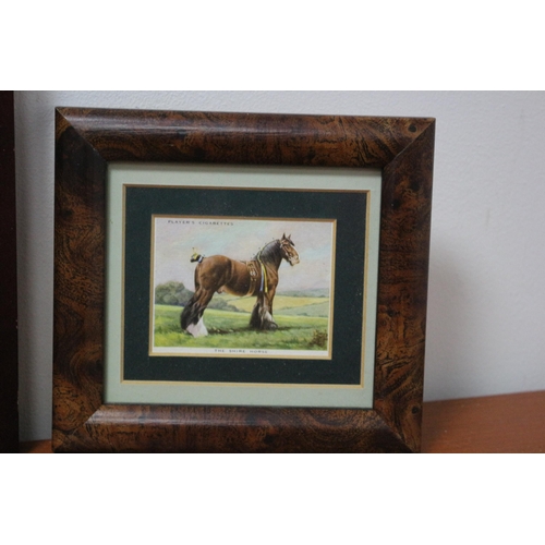 365 - Pair of Prints Depicting Shire Horses plus a Larger Print of a Hop Picking Tallyman - Framed and Gla... 