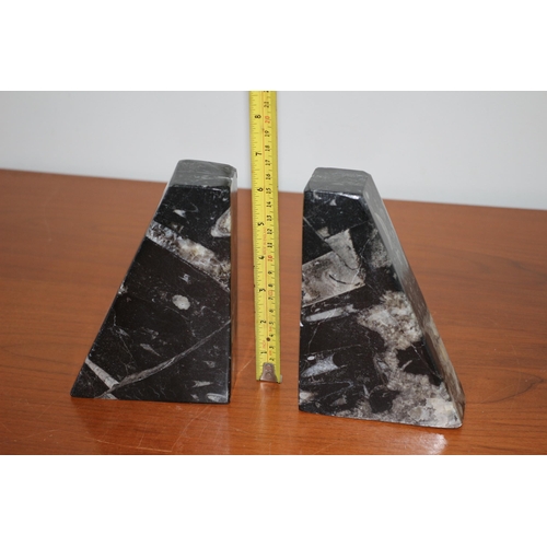 507 - Pair of Book Ends Goniatite & Orthocone Fossils Devonian Age Limestone 400 Million Years Old