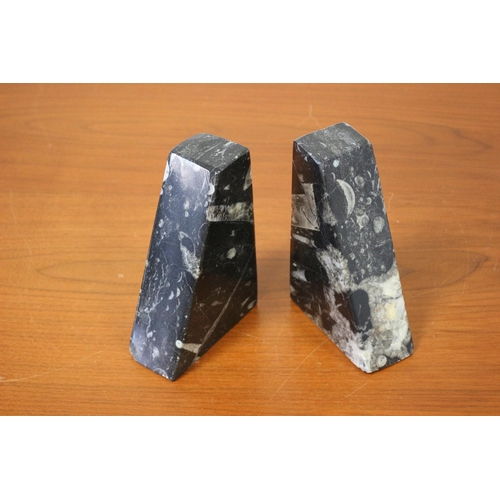 507 - Pair of Book Ends Goniatite & Orthocone Fossils Devonian Age Limestone 400 Million Years Old