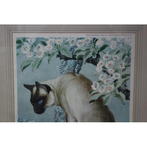 83 - Framed and Signed Limited Edition Colour Print Entitled 'Portrait of a Siamese Cat on a Branch of an... 