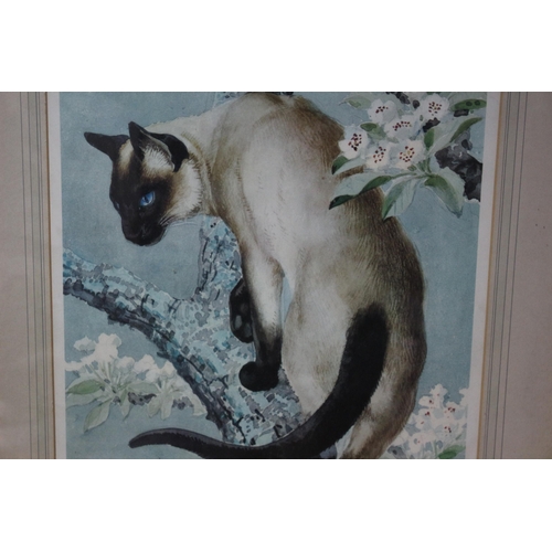 83 - Framed and Signed Limited Edition Colour Print Entitled 'Portrait of a Siamese Cat on a Branch of an... 