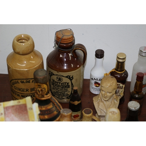 91 - Nice Selection of Miniature Aged Bottles of Alcohol