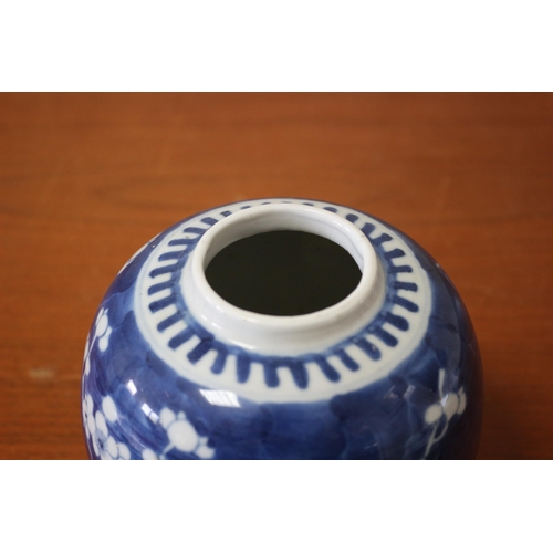 130 - Believed to be a 19th Century Chinese Blue and White Prunas Ginger Jar with Twin Blue Rings on the B... 