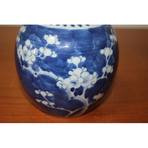 130 - Believed to be a 19th Century Chinese Blue and White Prunas Ginger Jar with Twin Blue Rings on the B... 