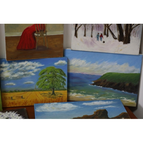 157 - Collection of 11 Oil on Canvas Paintings - Sarah Huggett