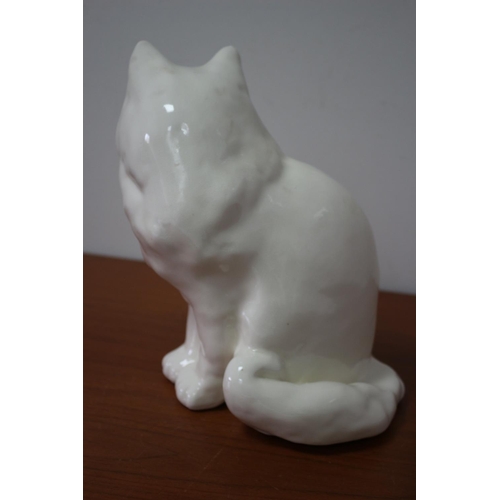 249 - Very Nice Winstanley Persian Cat - White with Blue Glass Eyes - Size 6 - Signed and Stamped