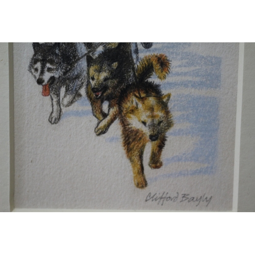 260 - Framed and Glazed Original Watercolour & Pencil Painting - Titled: Dog Team by Known Artist Clifford... 