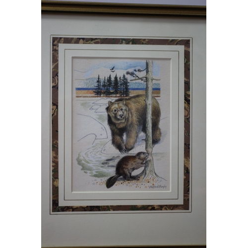 261 - Framed and Glazed Original Watercolour & Pencil Painting - Titled: Bear & Beaver by Known Artist Cli... 