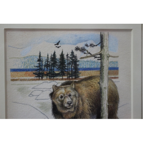 261 - Framed and Glazed Original Watercolour & Pencil Painting - Titled: Bear & Beaver by Known Artist Cli... 