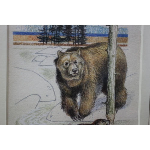 261 - Framed and Glazed Original Watercolour & Pencil Painting - Titled: Bear & Beaver by Known Artist Cli... 