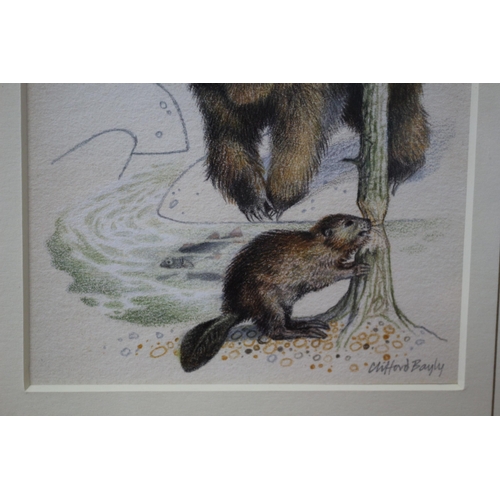 261 - Framed and Glazed Original Watercolour & Pencil Painting - Titled: Bear & Beaver by Known Artist Cli... 