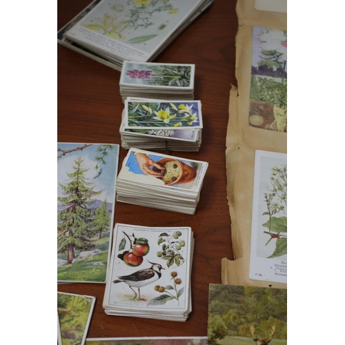 135 - Selection of Vintage Postcards and Cigarette Cards Dating From the 1920's to 1950's - A Good Selecti... 