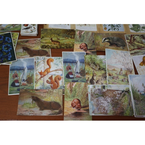 135 - Selection of Vintage Postcards and Cigarette Cards Dating From the 1920's to 1950's - A Good Selecti... 