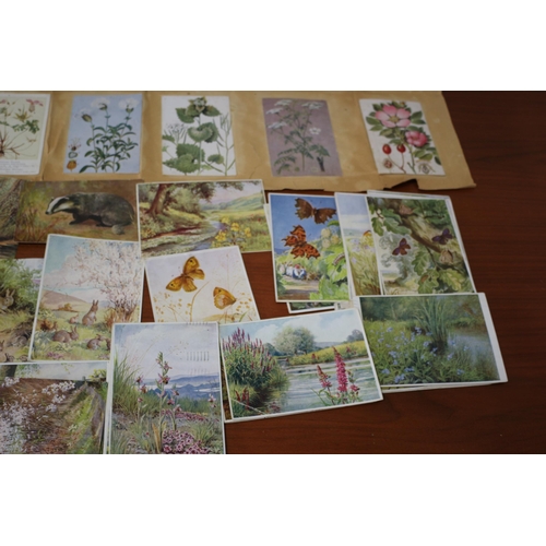 135 - Selection of Vintage Postcards and Cigarette Cards Dating From the 1920's to 1950's - A Good Selecti... 