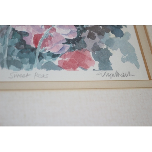 230 - 4 x Glyn Martin BA  Signed Limited Edition Framed Prints - Anemones, Marigolds, Freesias and Sweet P... 