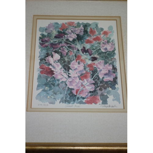 230 - 4 x Glyn Martin BA  Signed Limited Edition Framed Prints - Anemones, Marigolds, Freesias and Sweet P... 