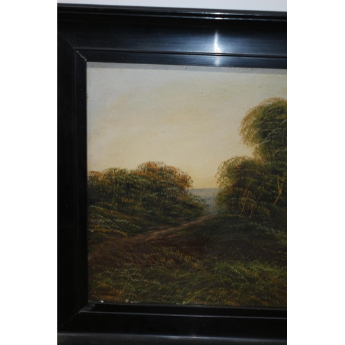 234 - Antique (Victorian), Indistinguishably Signed Oil on Board of a Landscape with Running Stream - 71 x... 