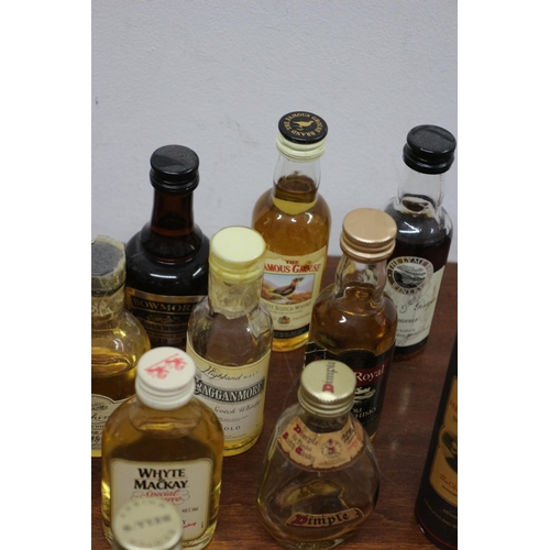 8 - Selection of Whisky Miniatures