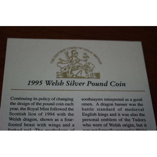 88 - 1995 Welsh Pound Coin, Silver Proof, Royal Mint