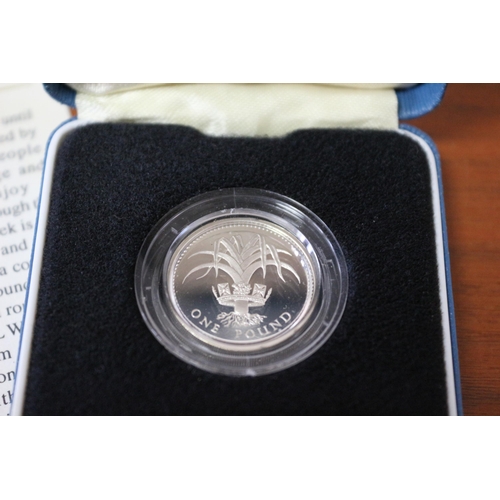 89 - 1985/1990 Welsh Silver Proof Pound, Royal Mint