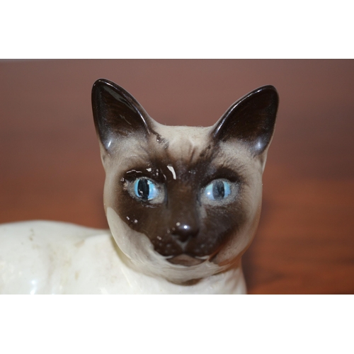 386 - Vintage Royal Doulton Siamese Cat - 1559