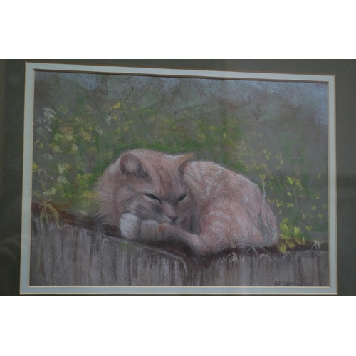 351 - Pastel Painting by Marjorie A. Campbell of a Cat - 40 x 33cm