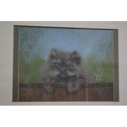 352 - Original Pastel Painting by Marjorie A. Campbell of a Cat Looking Over a Fence - 39 x 31cm