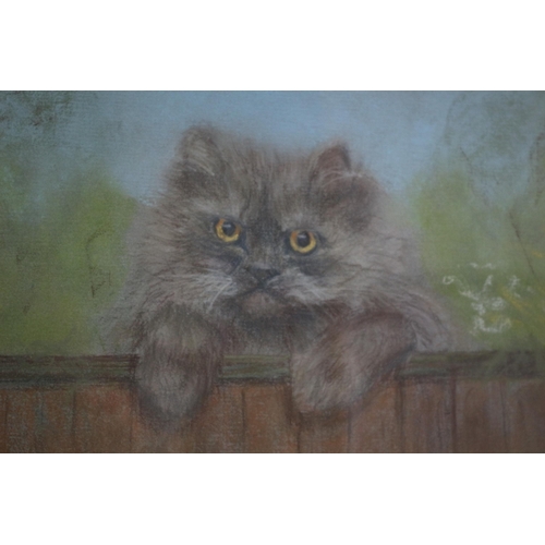 352 - Original Pastel Painting by Marjorie A. Campbell of a Cat Looking Over a Fence - 39 x 31cm