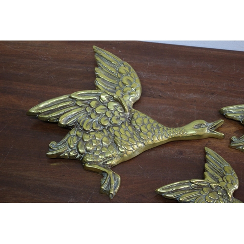 357 - 3 x Graduated Vintage Brass Flying Birds