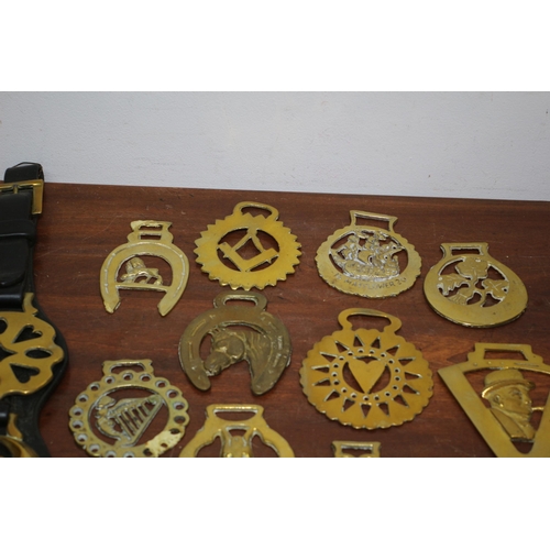 360 - Selection of Horse Brasses